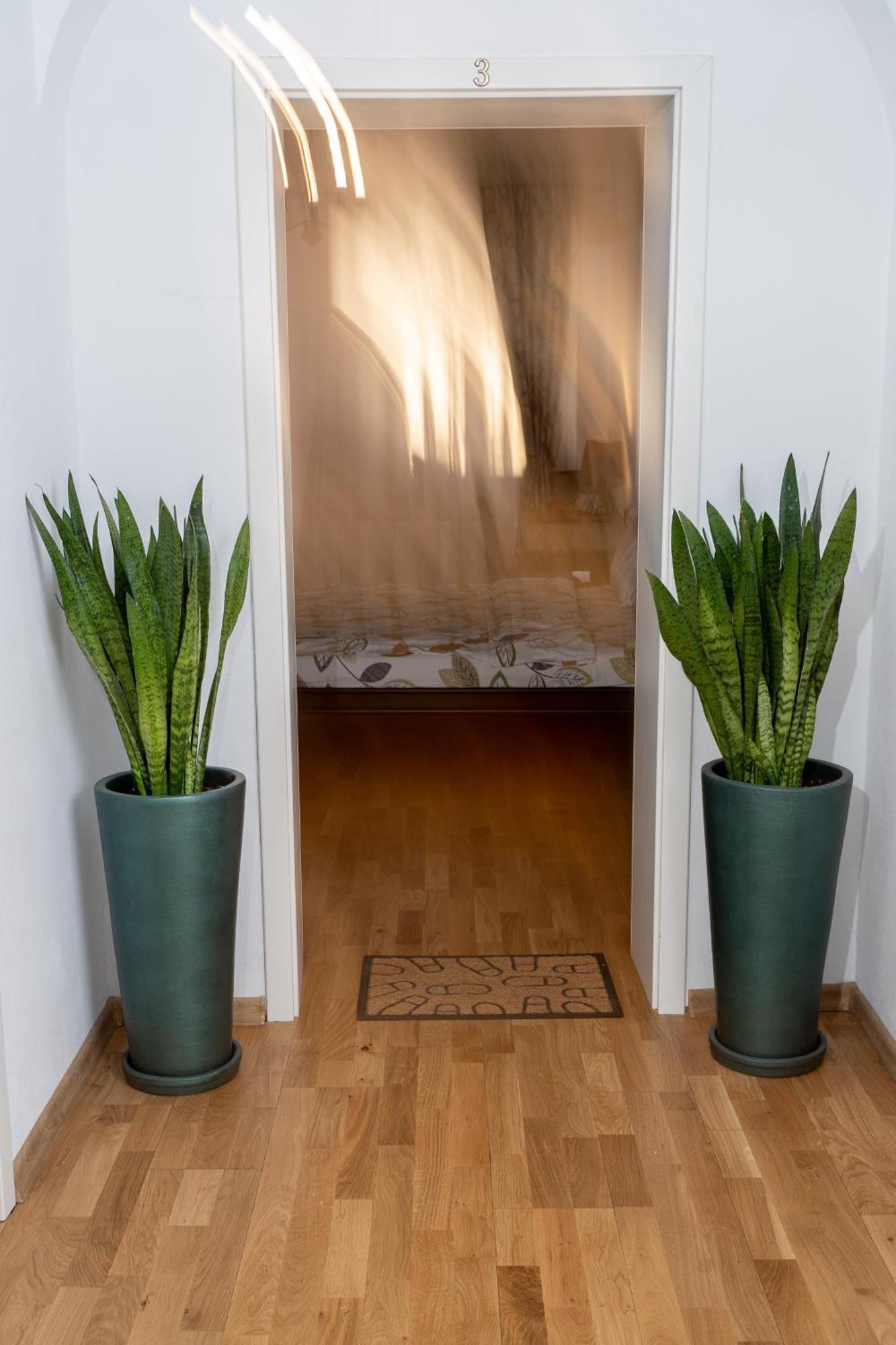 Downtown Sibiu Apartment Екстериор снимка